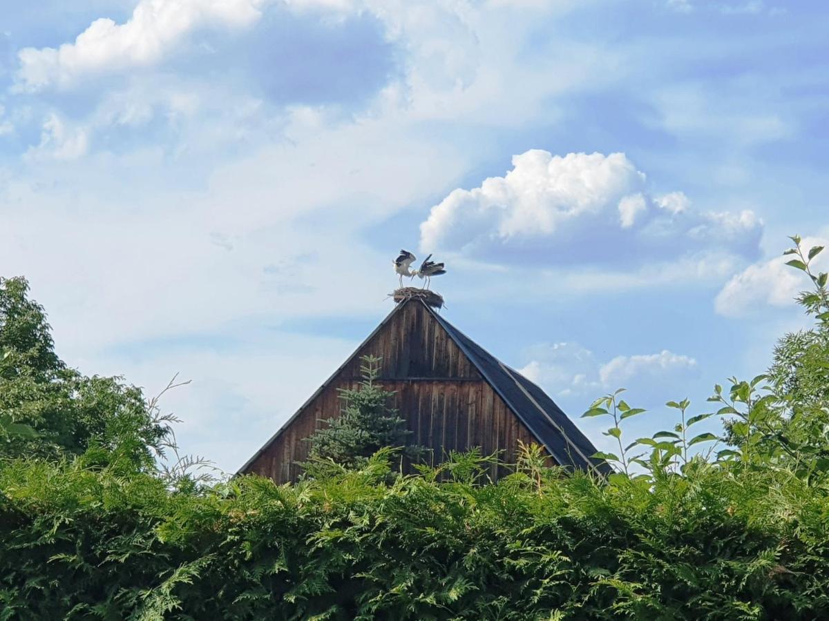 Sonnendeck Spreewald *